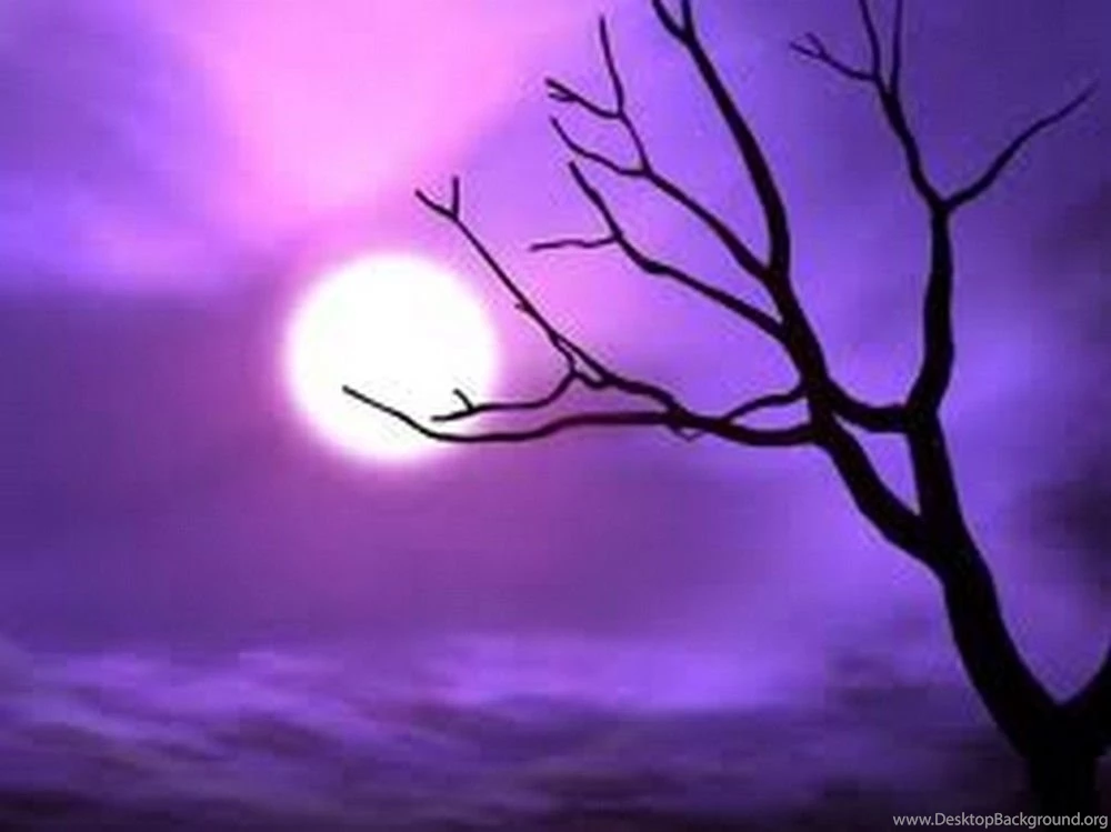 Pretty Halloween Wallpapers Wallpapers Cave