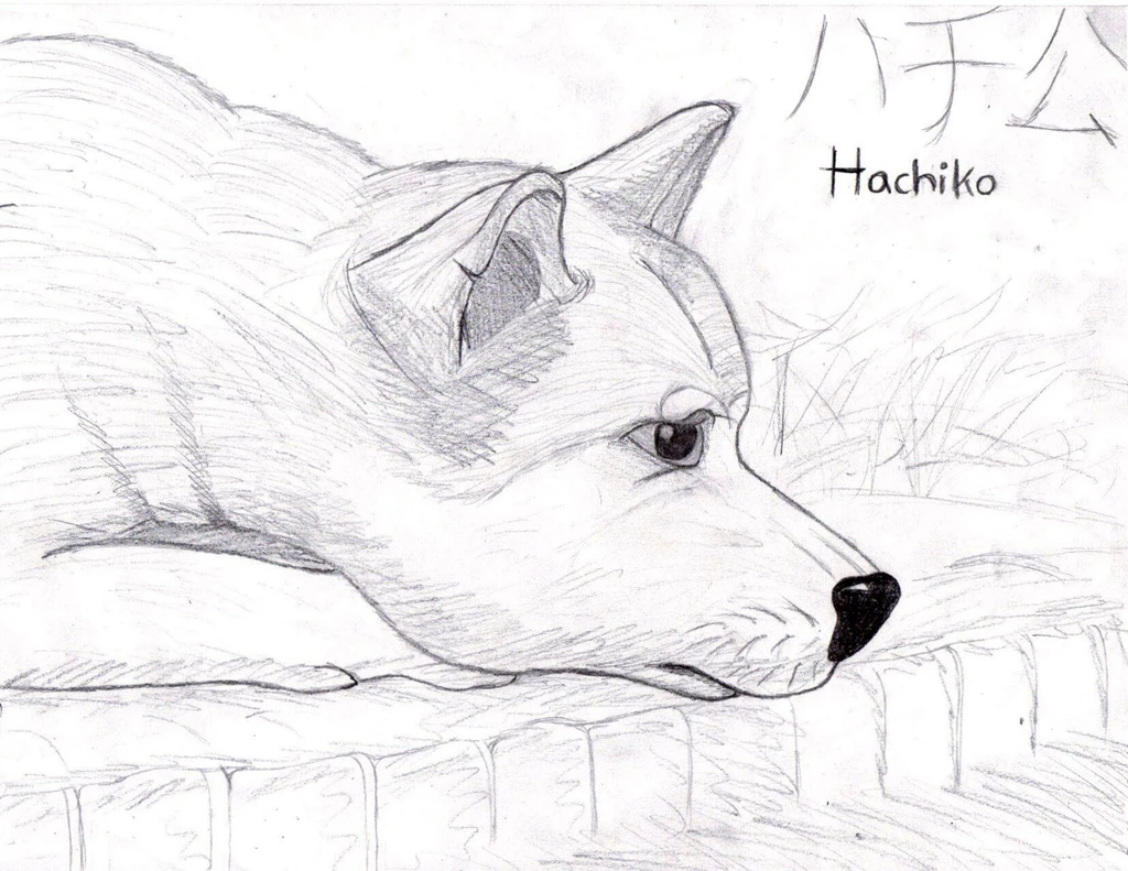 Hachiko 'Inked' By NiegelvonWolf On DeviantArt