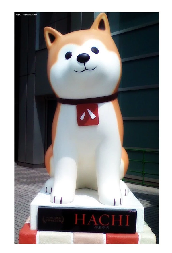 Hachiko:. By Lonewolf123 On DeviantArt