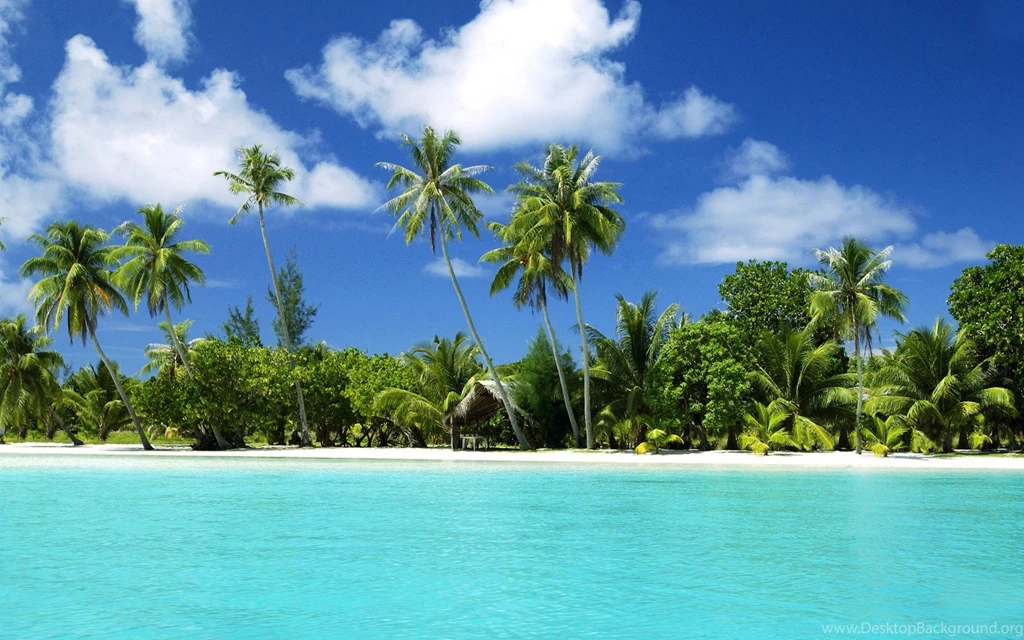 Outdoor Trees Beaches Free HD Resolution Wallpapers