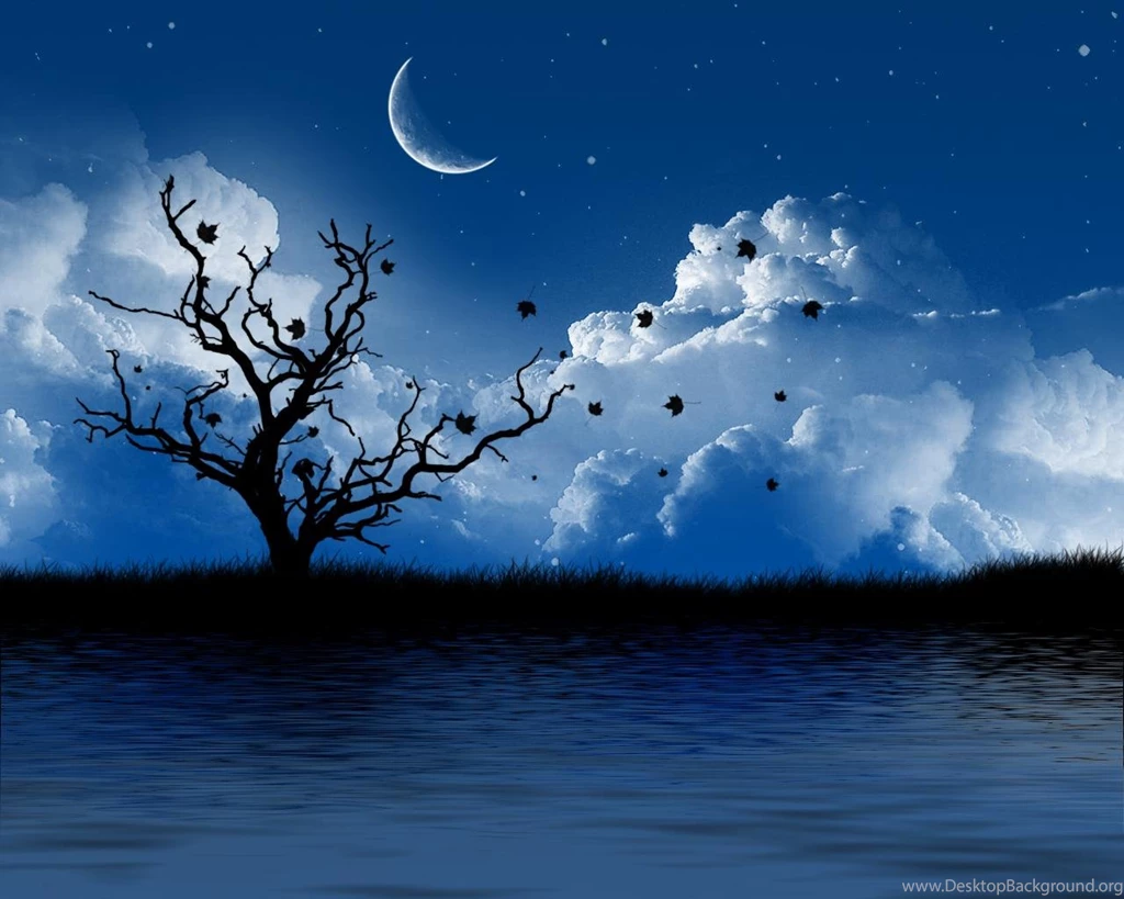 Sweet Romantic Nature HD Wallpapers For Desktop 2