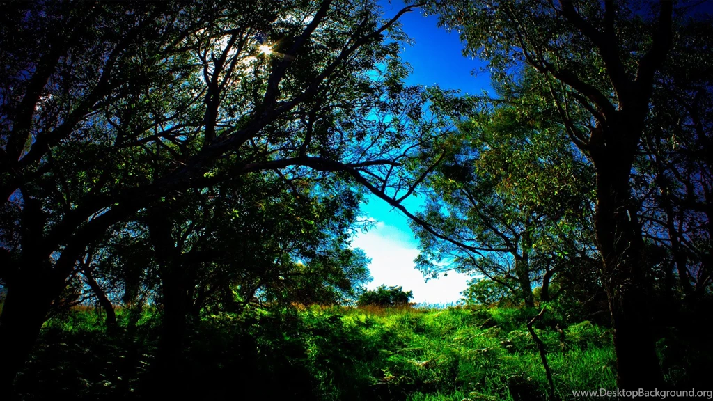 Outdoor wallpapers.jpg