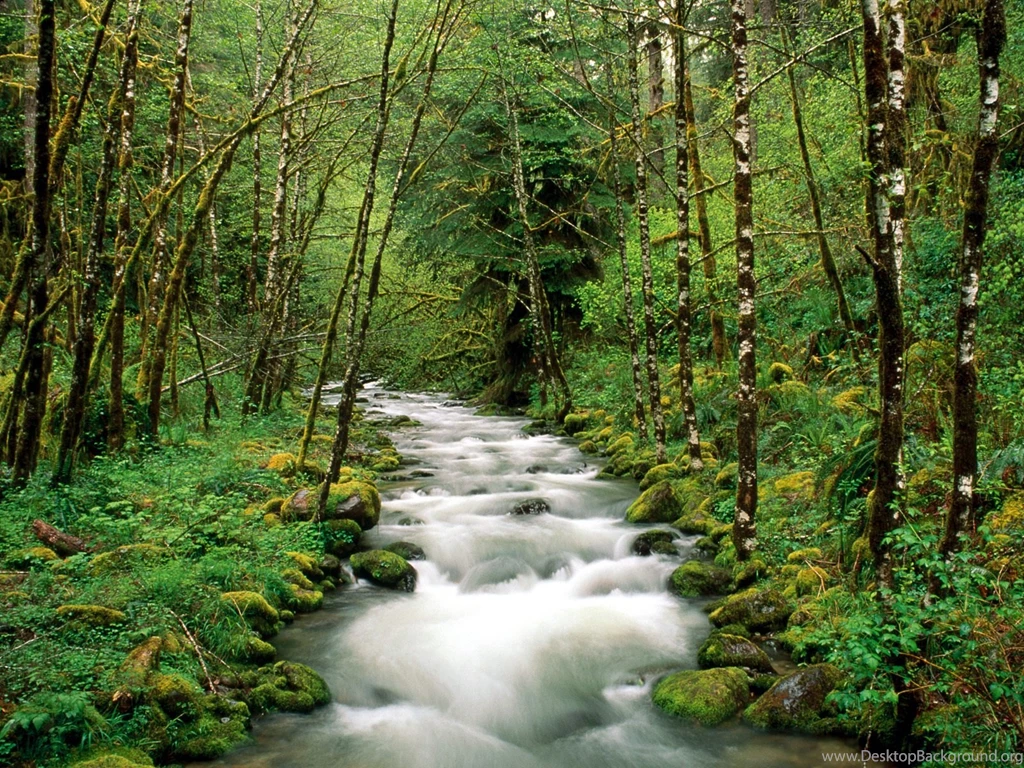 River Wallpapers