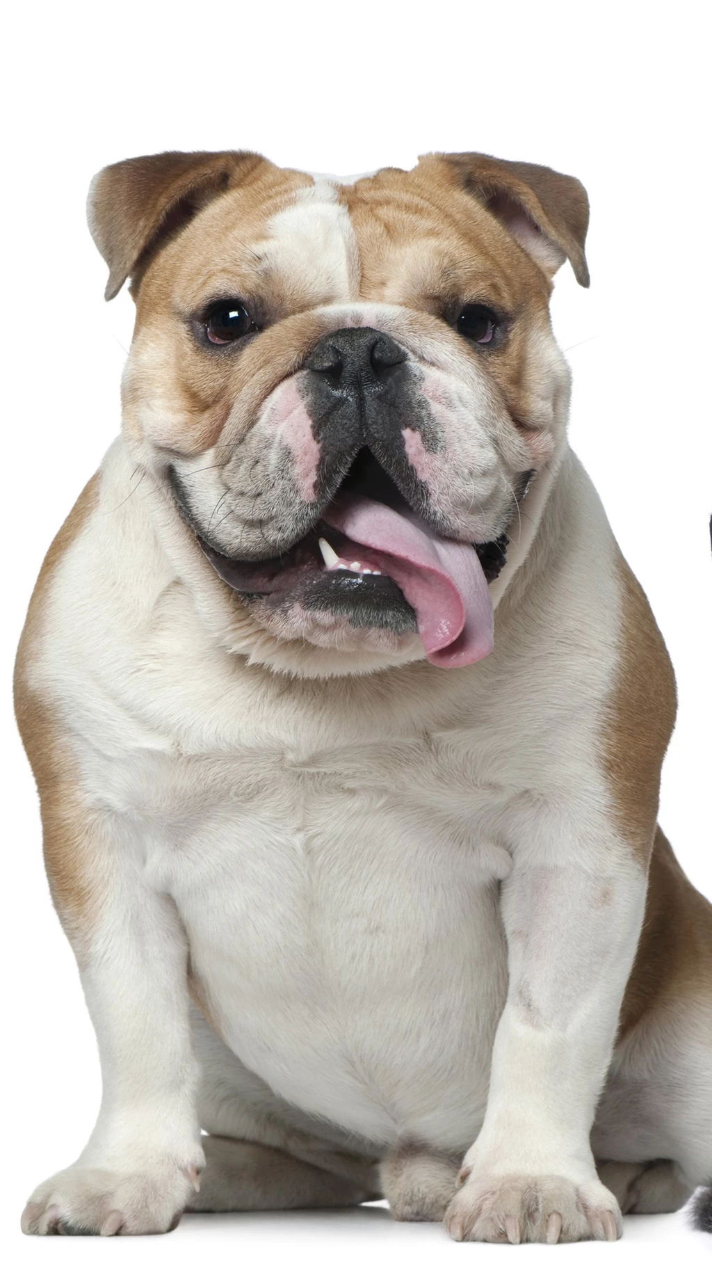 Galaxy S6 Wallpapers HD, Samsung Galaxy S6 Edge Wallpapers