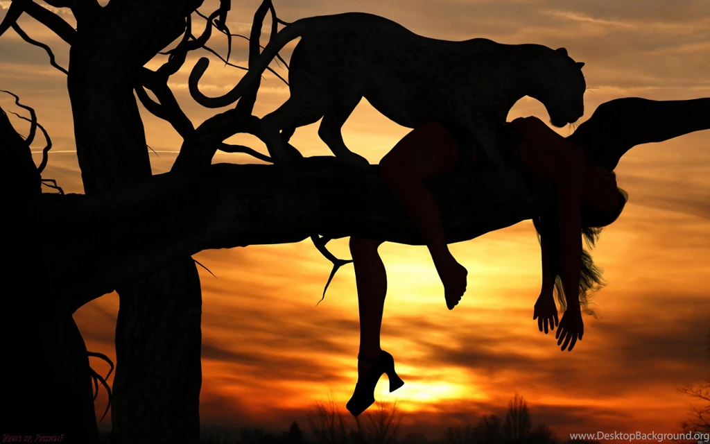 Tragedy In Africa: Leopards Revenge Computer Wallpapers, Desktop ...