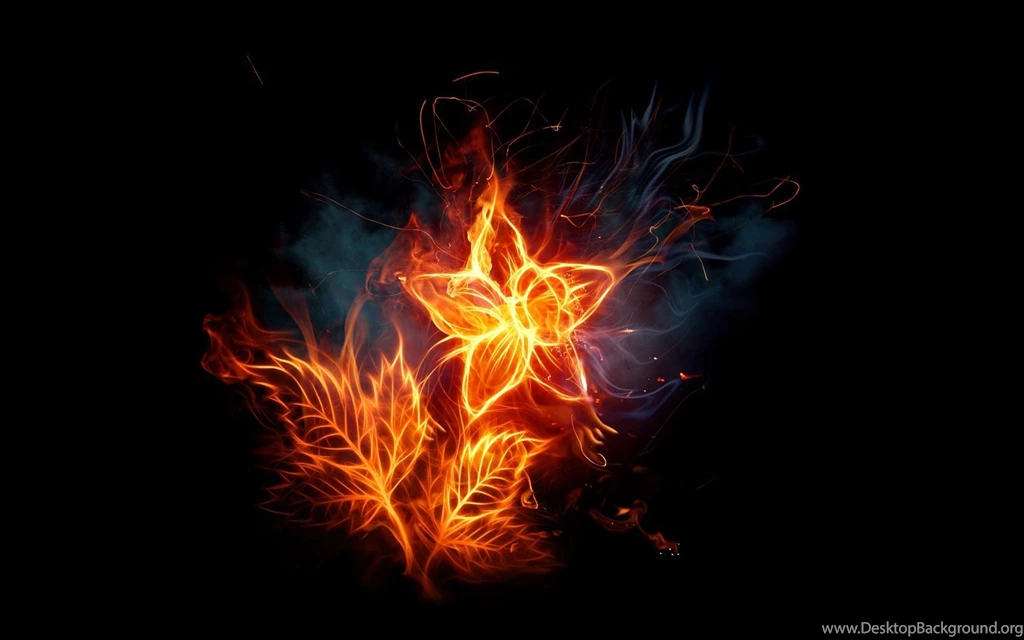 Flames Flowers Fire Blaze Photomanipulations Black Backgrounds ...