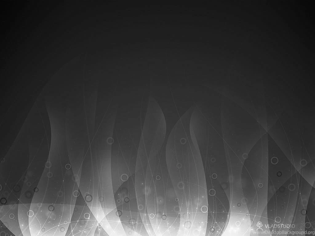 Black White Favourites By Madizzlee On DeviantArt