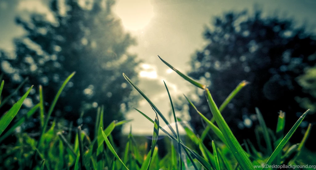 Cool City Images Archives   Simply Wallpapers   Just Choose And ...