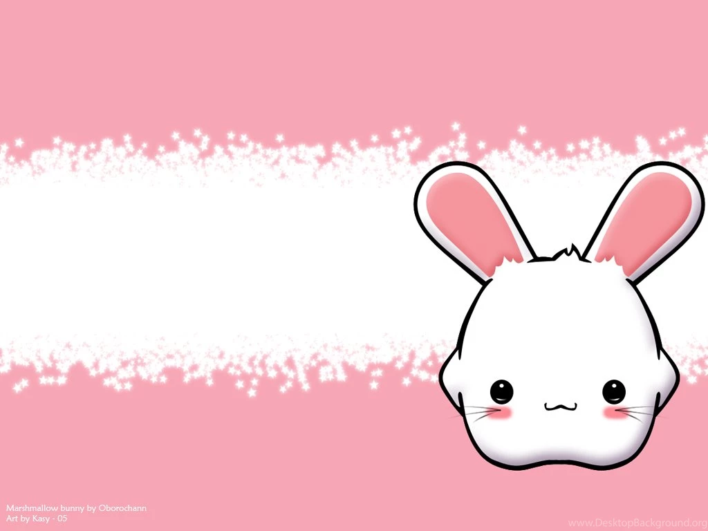 210 Rabbit HD Wallpapers