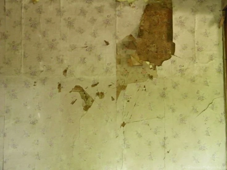 Old Torn Wallpapers By ~TinkerBeIIe143 On DeviantART