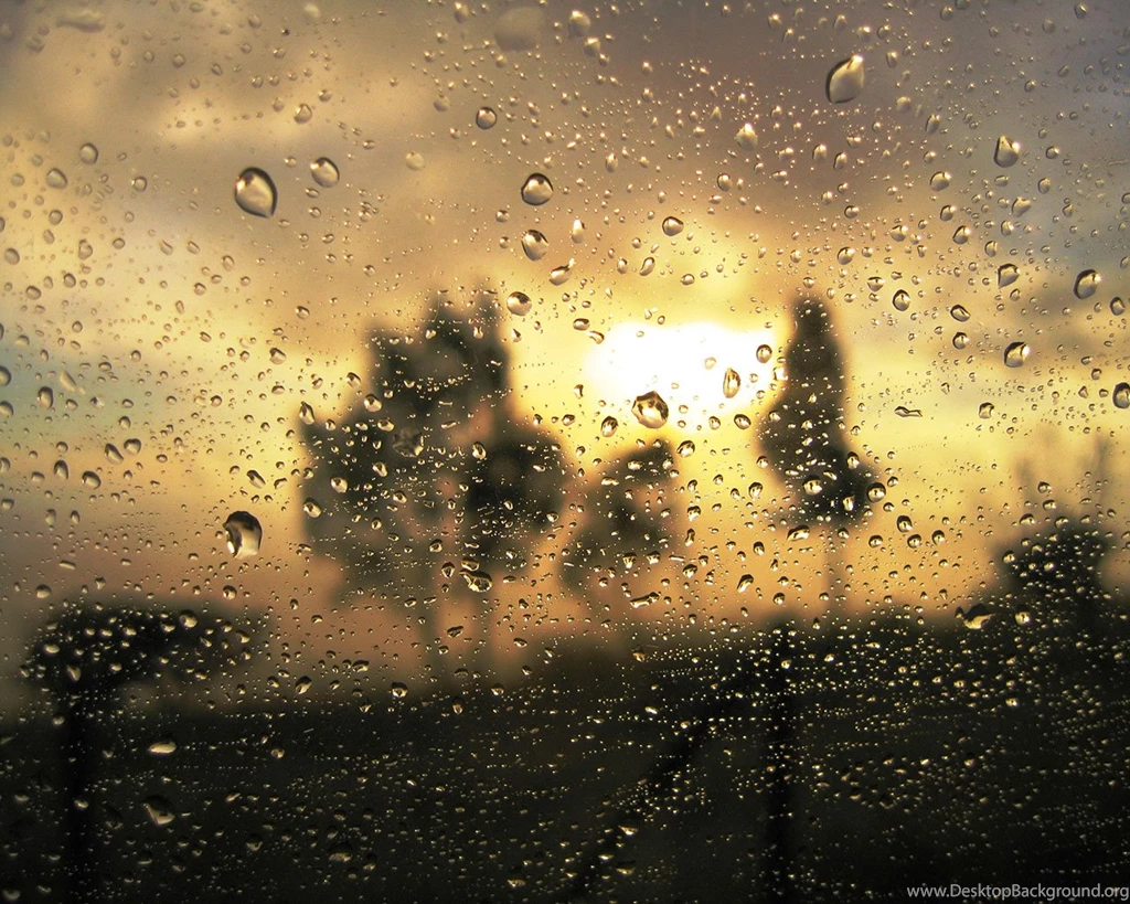 Moving Wallpapers