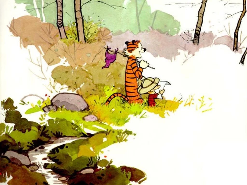 223 Calvin & Hobbes HD Wallpapers