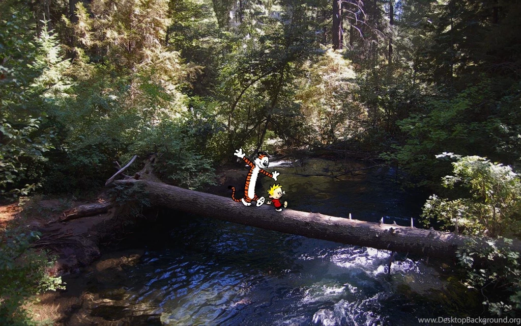 Made Some Calvin & Hobbes Walls Album On Imgur