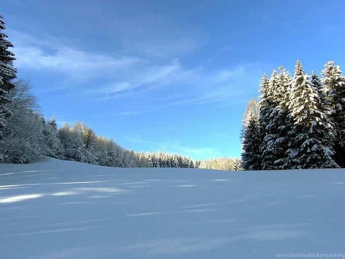 Winter Dreams Winter Paradise Scene Wallpapers (1920*1440 ...