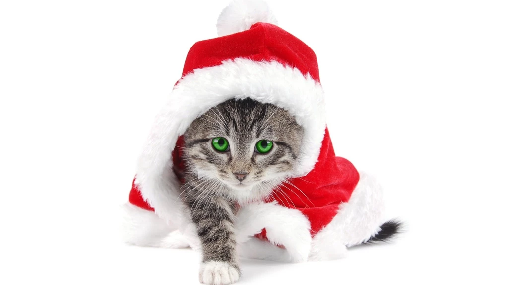 Image   Wearing Christmas Hats Little Cat   Kitten Cute Christmas ...