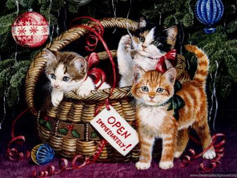 Free Desktop Wallpapers For Cat Lovers, Free Christmas Wallpapaer ...