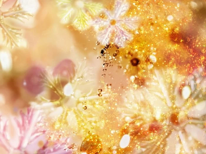 Fantasy Composite Photos Of Autmn & Winter, CG Seasons (1920*1200 ...