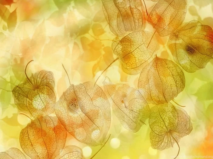 Fantasy Composite Photos Of Autmn & Winter, CG Seasons (1920*1200 ...