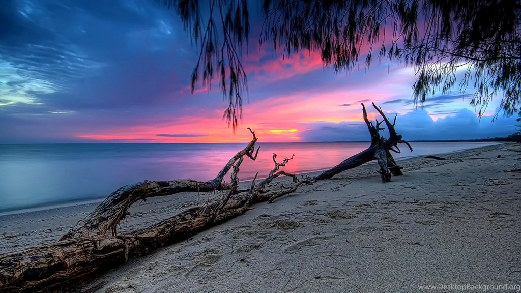 Gorgeous hd Background image.jpg