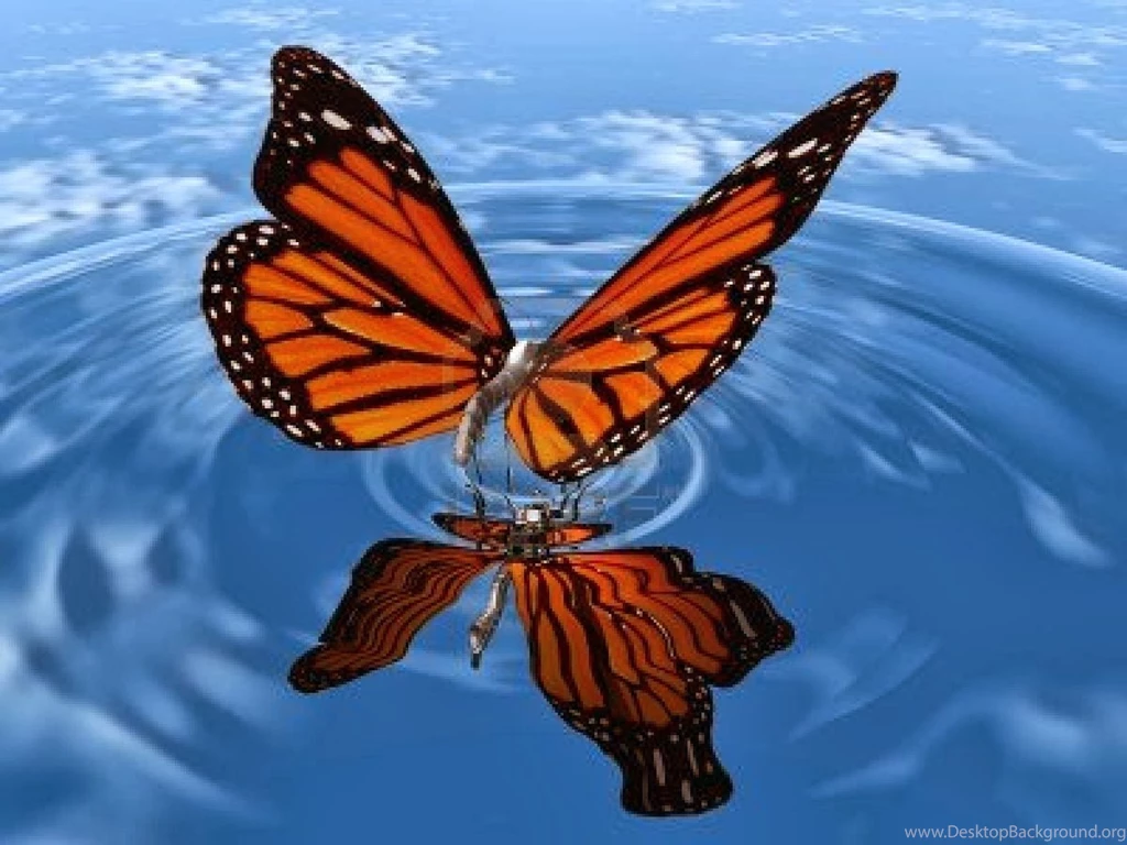 Live Wallpapers Free HD Wallpapers Pretty