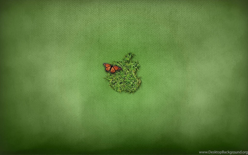 Apple Logo With Butterfly Hd For Mac Ios Wallpapers