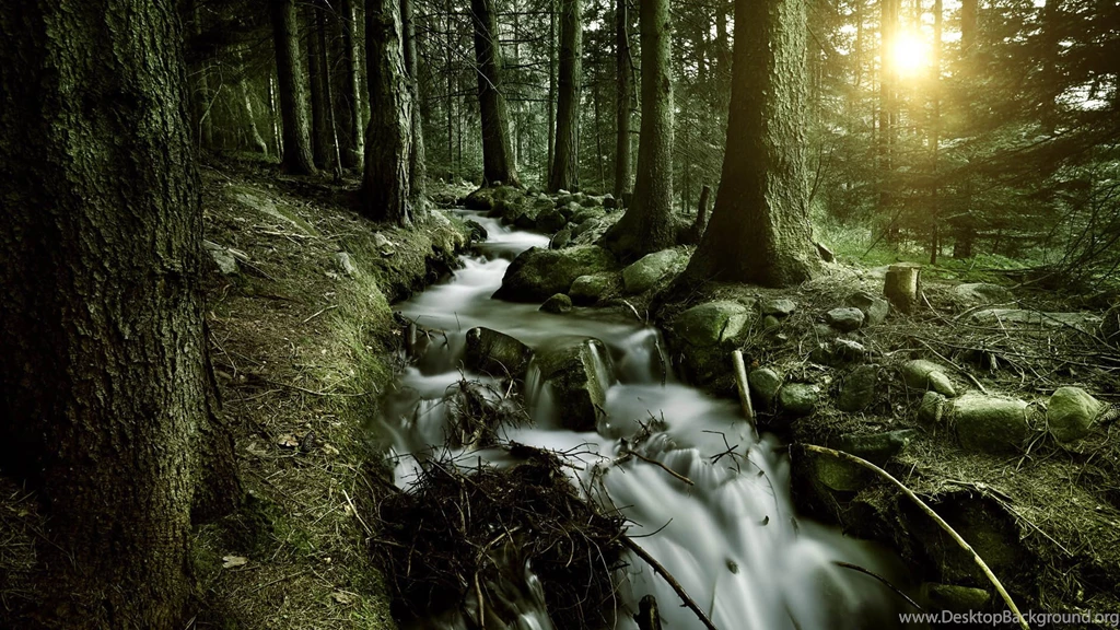 Full HD Wallpapers 1920x1080 Free Download Best HD Desktop ...