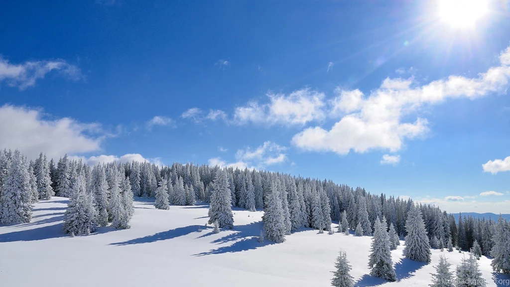 Best Photography Wallpapers Free Download: Amazing Nature Full HD ...