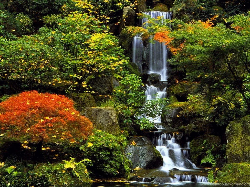 Japanese Garden, Portland, Oregon < Nature < Life < Desktop Wallpapers