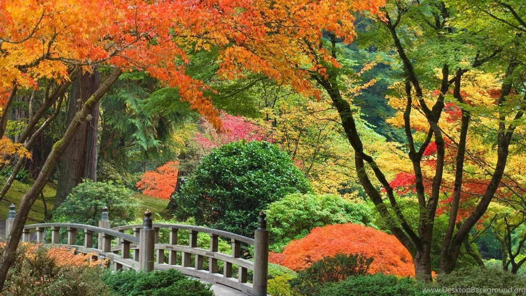 Japanese Oregon Portland Autumn Garden Wallpapers