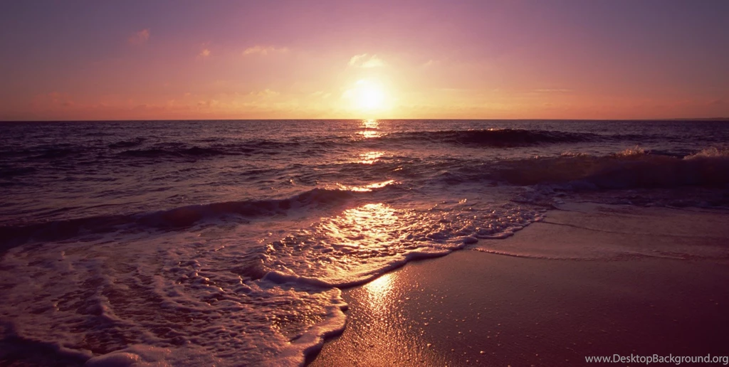 Wallpapers Jacksonville