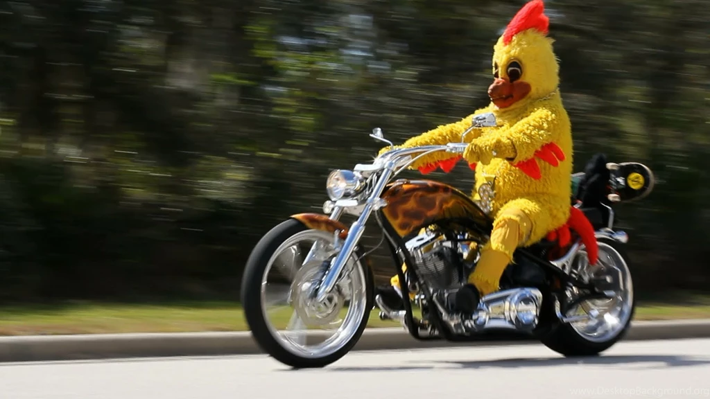 The Shake Junt Chicken YouTube
