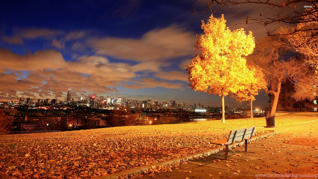 Park Avenue, New York City Wallpaper_other_health Questions ...