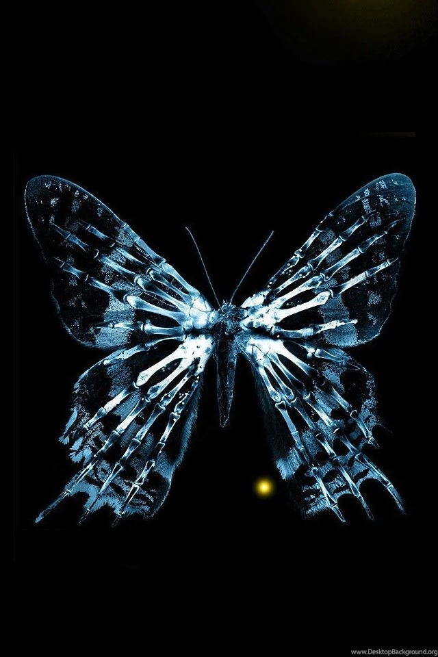 Top Free Fringe Butterfly Screensaver Wallpapers