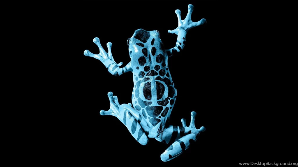 Frog, Nature, Animals, Fringe (TV Series), Amphibian, Black ...