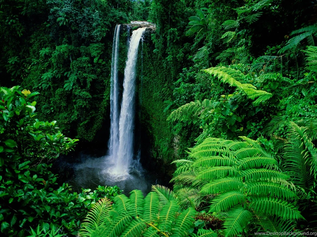 Beautiful Waterfall Hd Wallpapers Nature Wallpapers