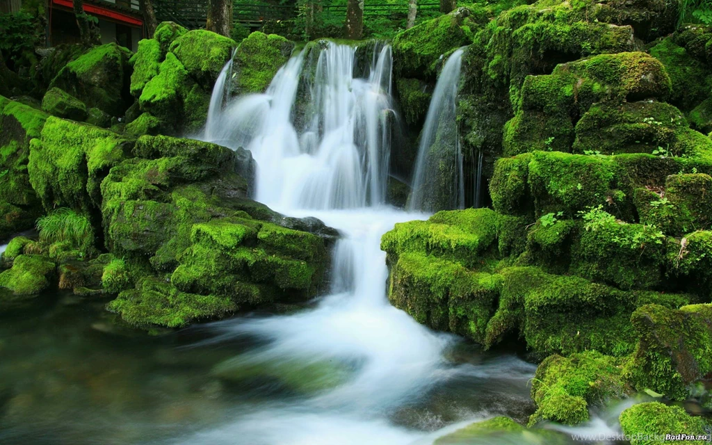 Green Nature Waterfall 4460 Wallpapers Wallpapers Hd