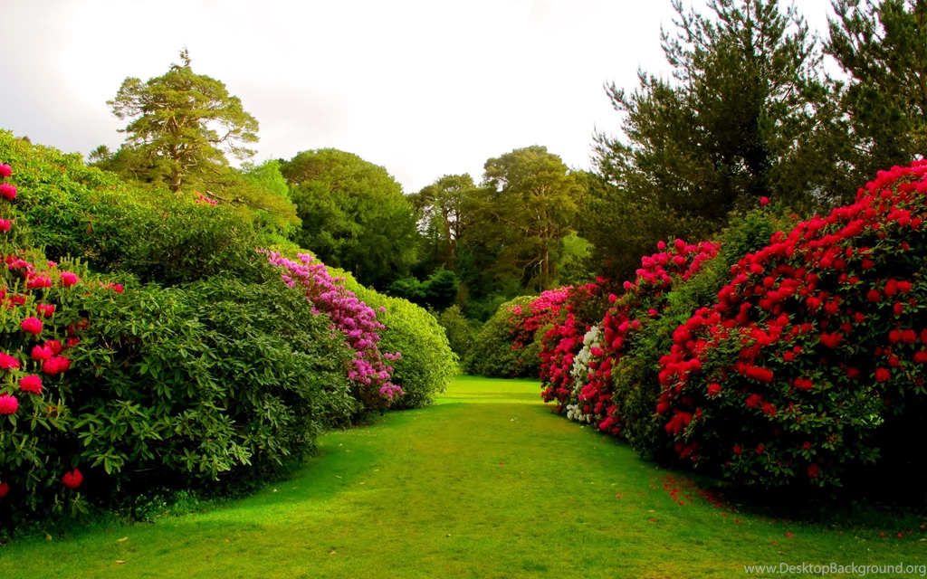 Gardens Wallpaper: Beautiful Rose Garden Wallpapers ...