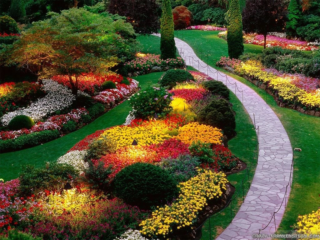 Wallpapers Flowers The Beautiful Garden 1024x768