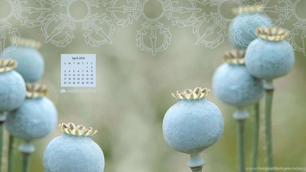 2016 Calendar