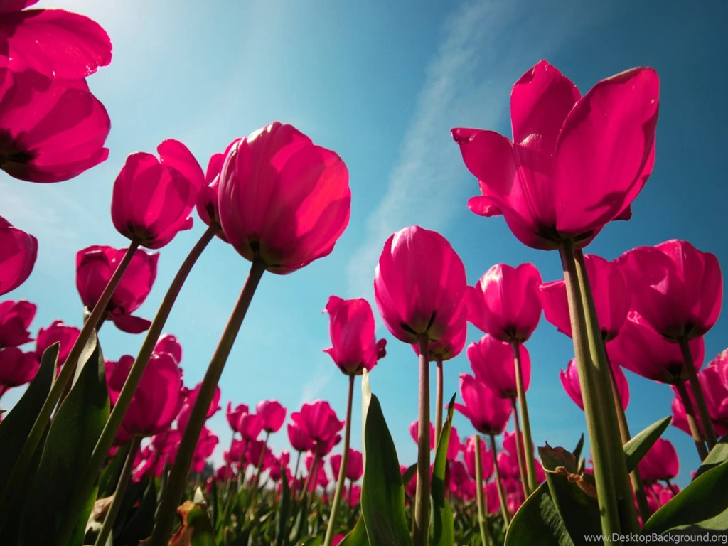 HappyBirthdaySanaya, The Reigning Queen Of The Small Screen!! [NT ...