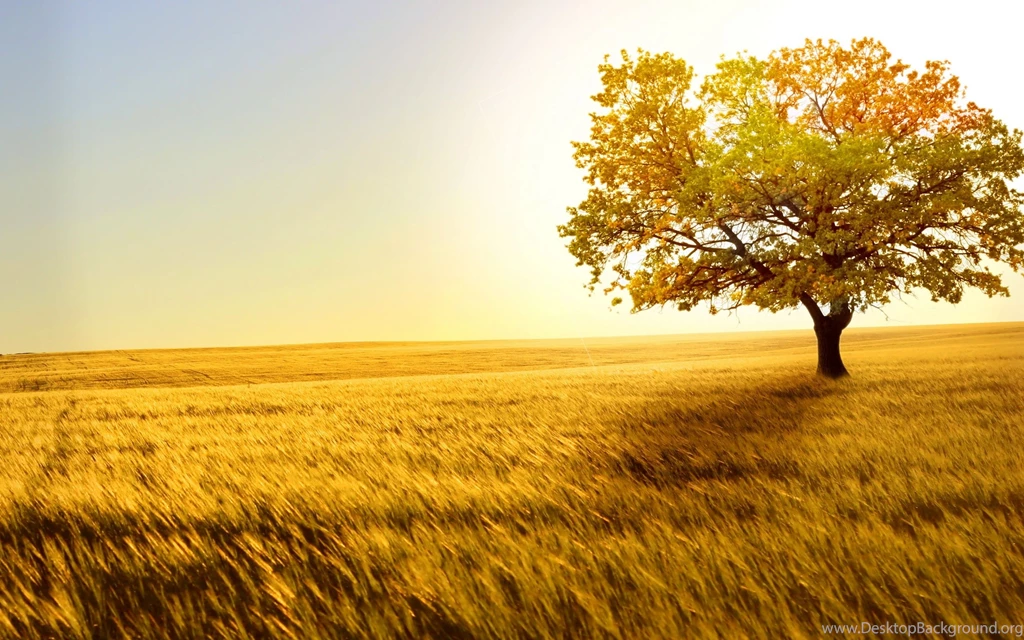 Wallpapers Nature Beauty