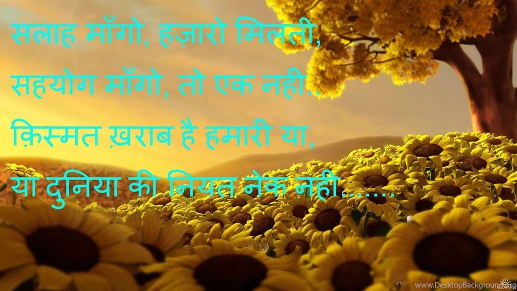 Shayari Hi Shayari: Top 10 Wallpapers Shayari ,Hindi Shayari Image ...
