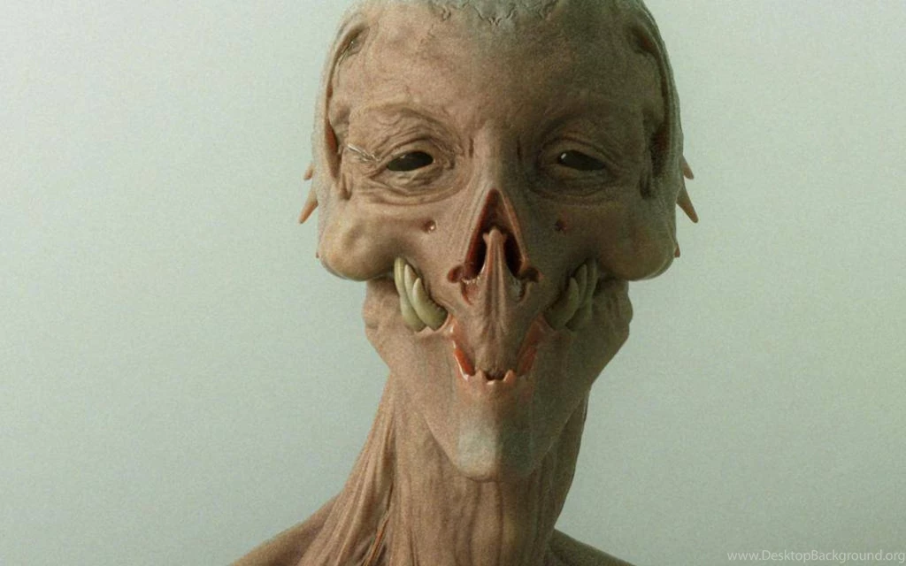 Hey Hr Sup Need High Res Boxxy Pics Please Unrelated Wallpapers ...