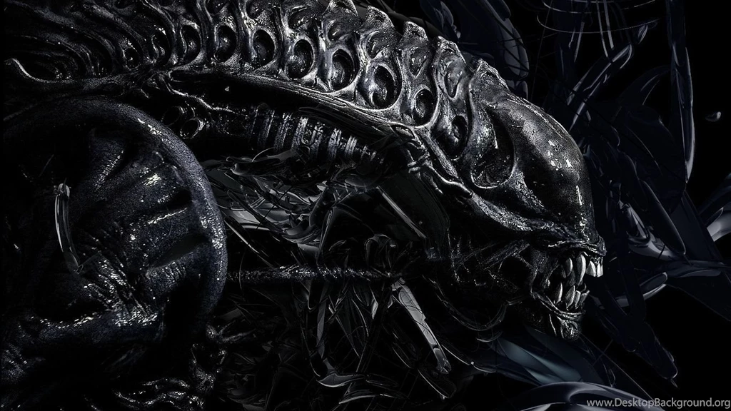 HR Wallpapers – New HD Images