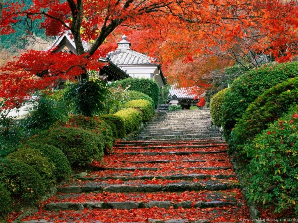 Garden Wallpapers Collection (29+)