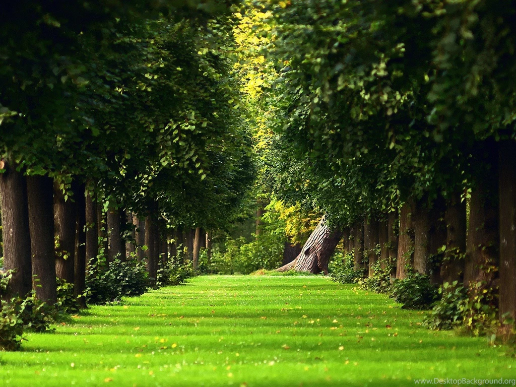 Garden Wallpapers Collection (29+)