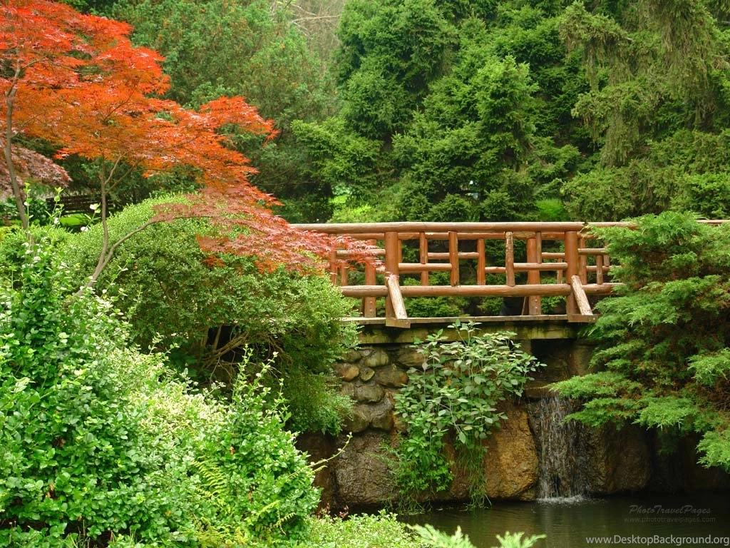 Wallpapers Garden Free Screensavers Play 1024x768