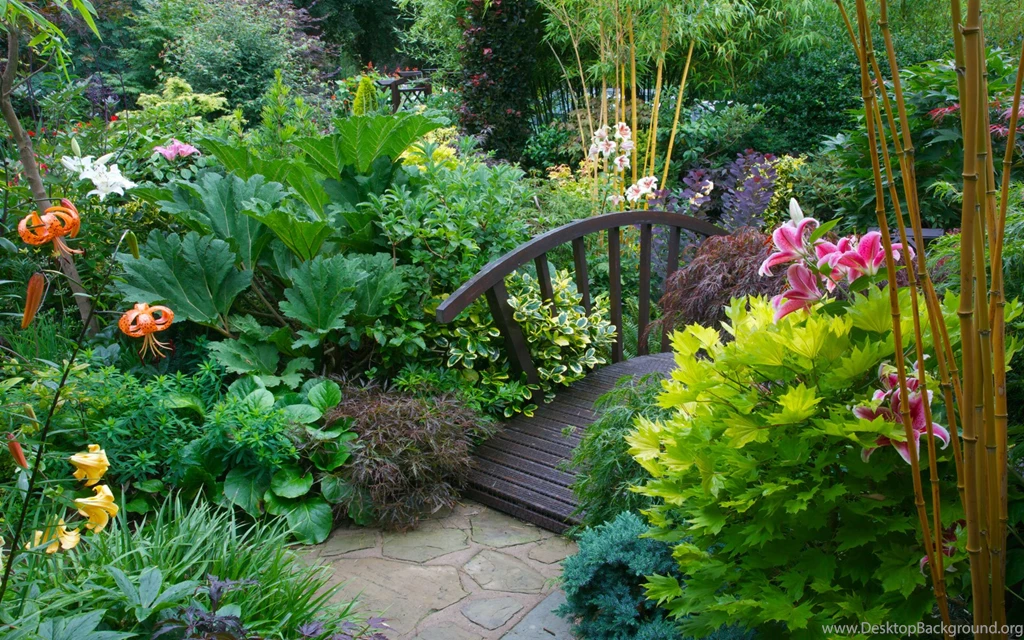 218 Garden HD Wallpapers