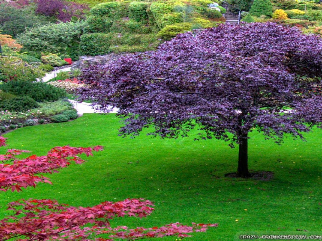 Spring Garden Bench Wallpapers Pictures Photos Images