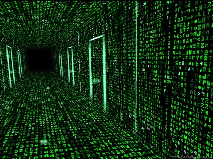 Free Matrix Reality Screensaver   Download